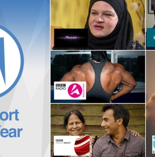 A Closer Look at the TV Report of the Year 2016 Finalists